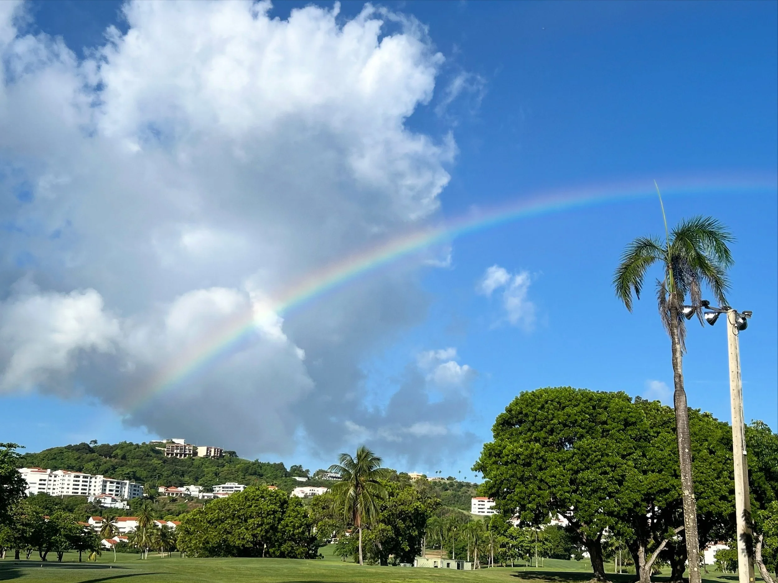 🌈 I hope you had a really great start to your week!