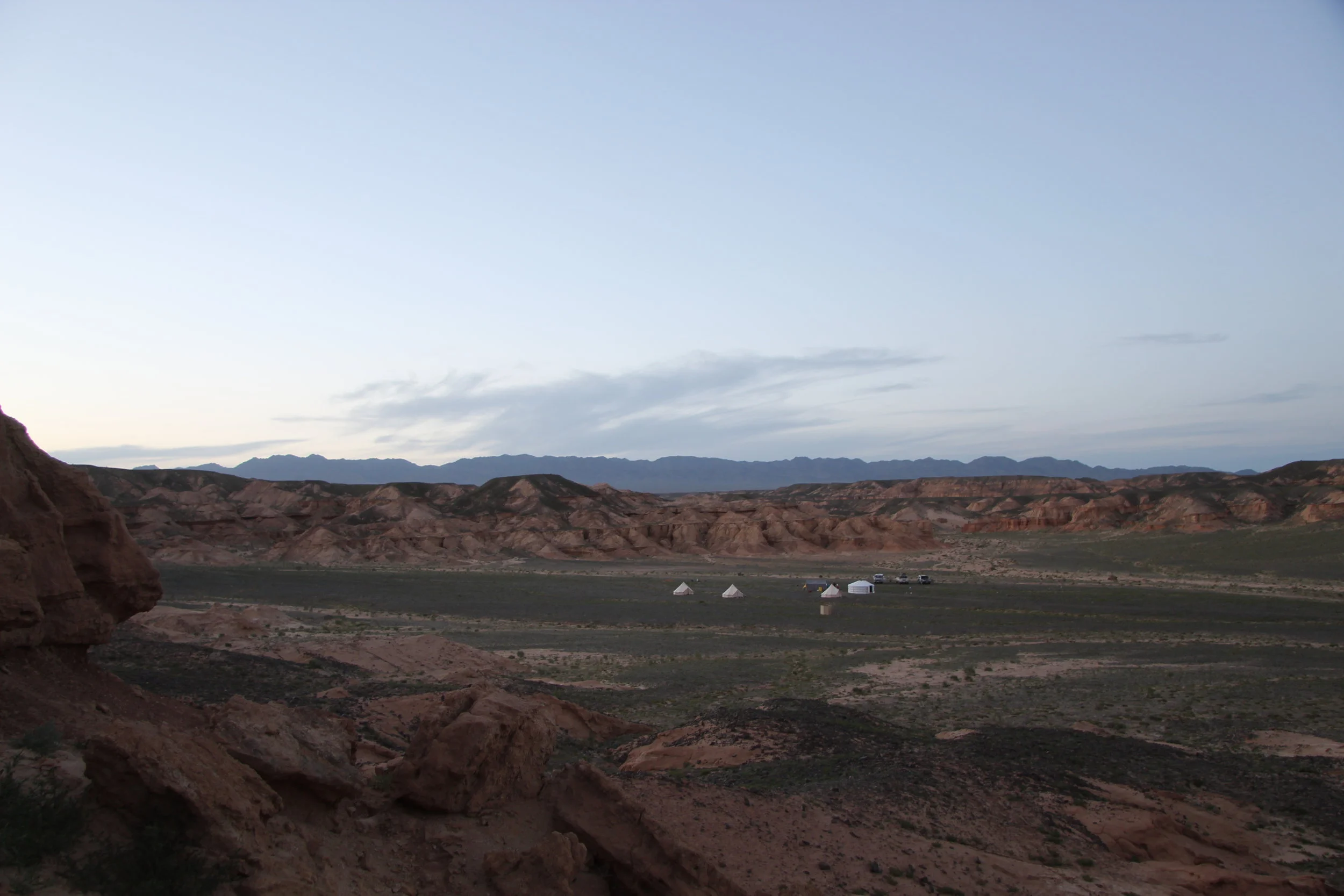 The Nemegt Formation