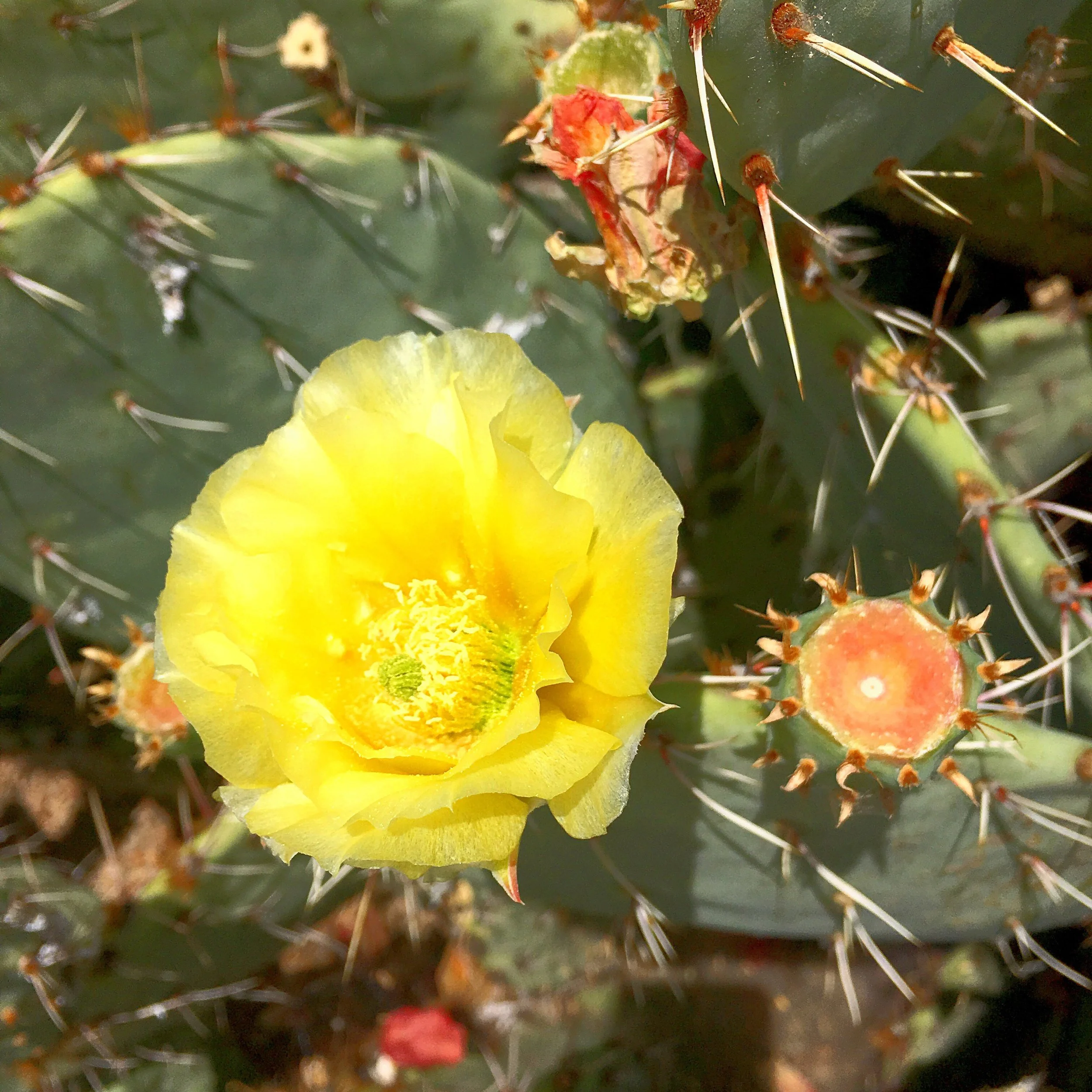 The Unexpected Benefit of a Year of Creative Habits