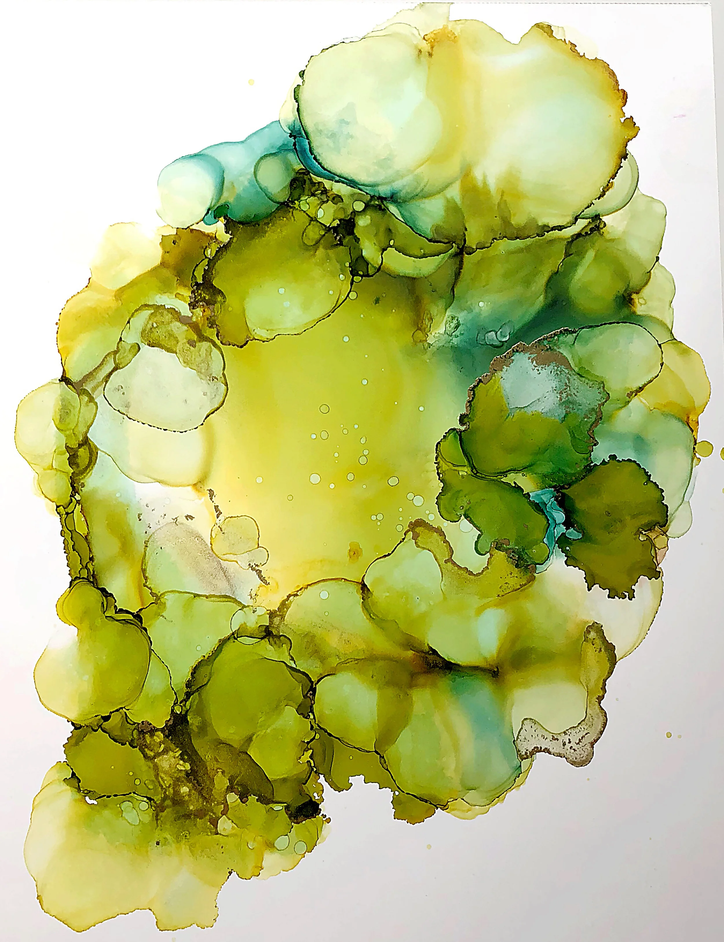 Prickly Pear copy.jpg