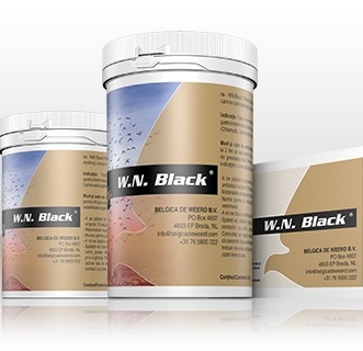 Belgica De Weerd W.N. Black