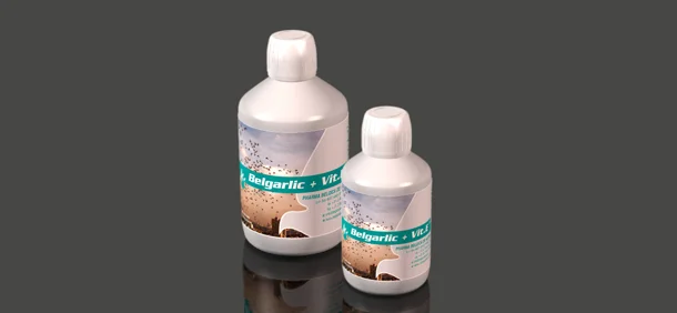 Belgica De Weerd Belgarlic + Vit. E 250 ml