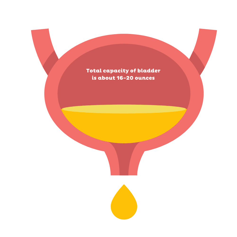 Leaking Urine? But which pad do you grab? — 4th Trimester Fitness Method