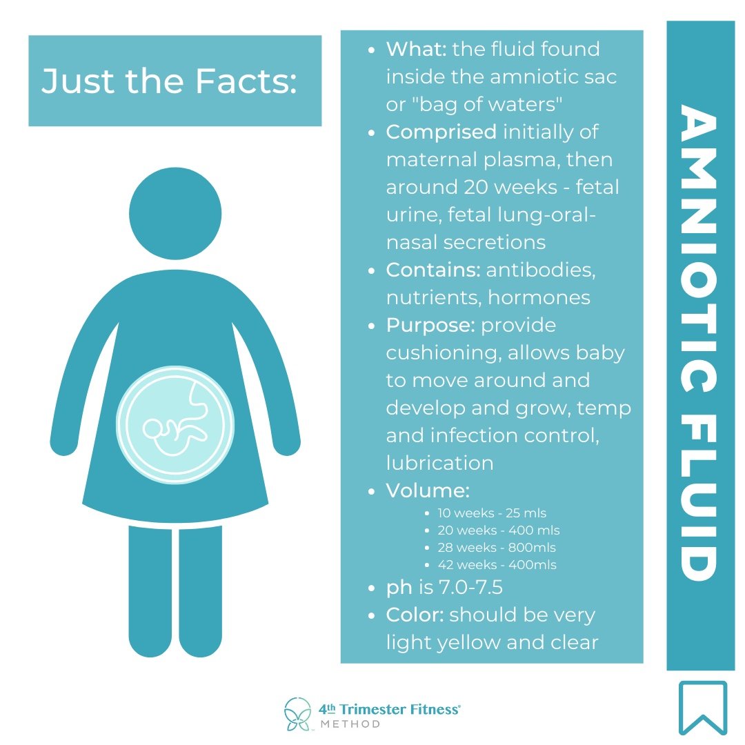 En Caul Birth: Fascinating Video Shows Rare Baby Born Inside The Amniotic  Sac | IFLScience