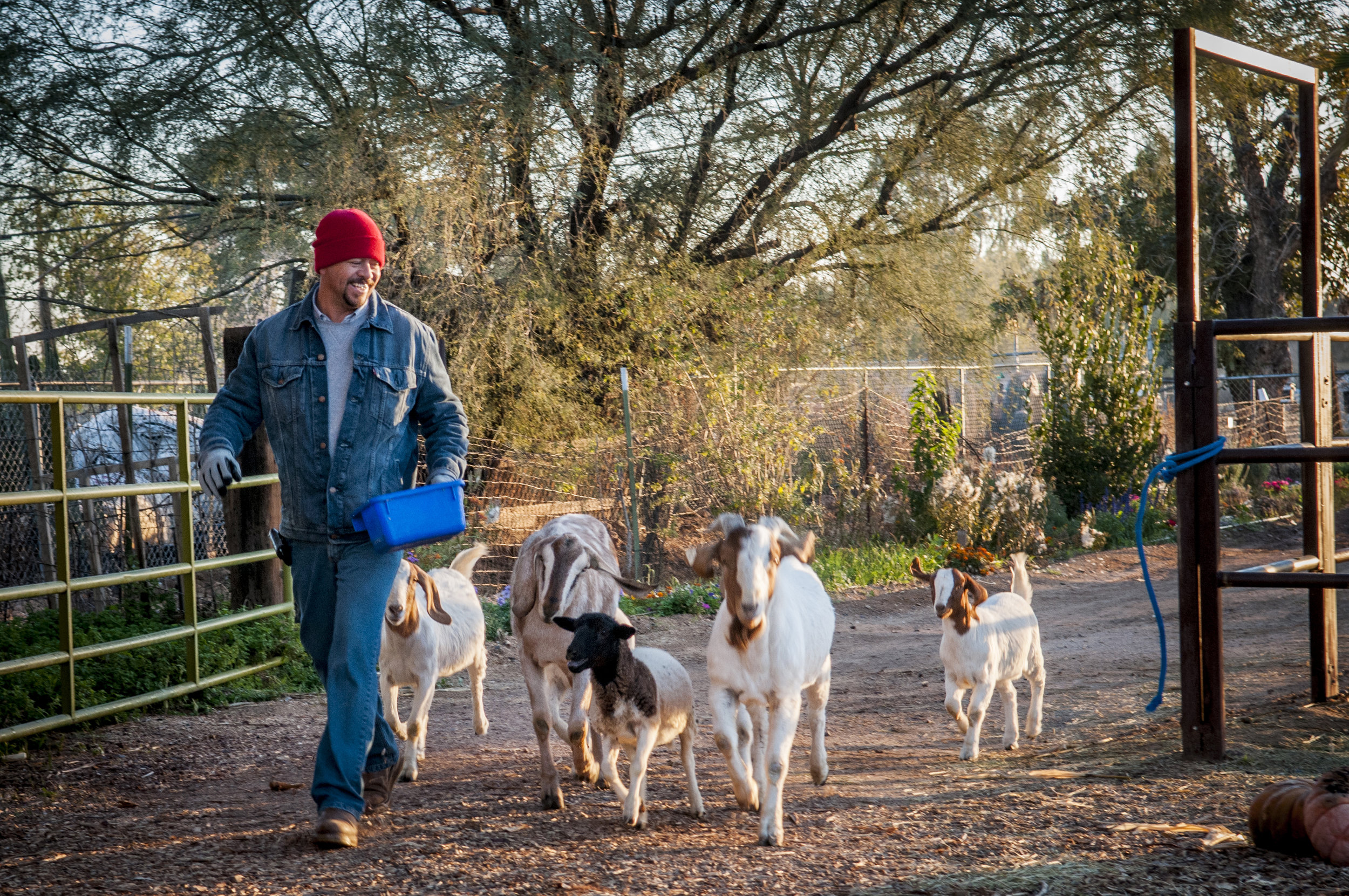 D'Elia.Farm.120213.3290.jpg