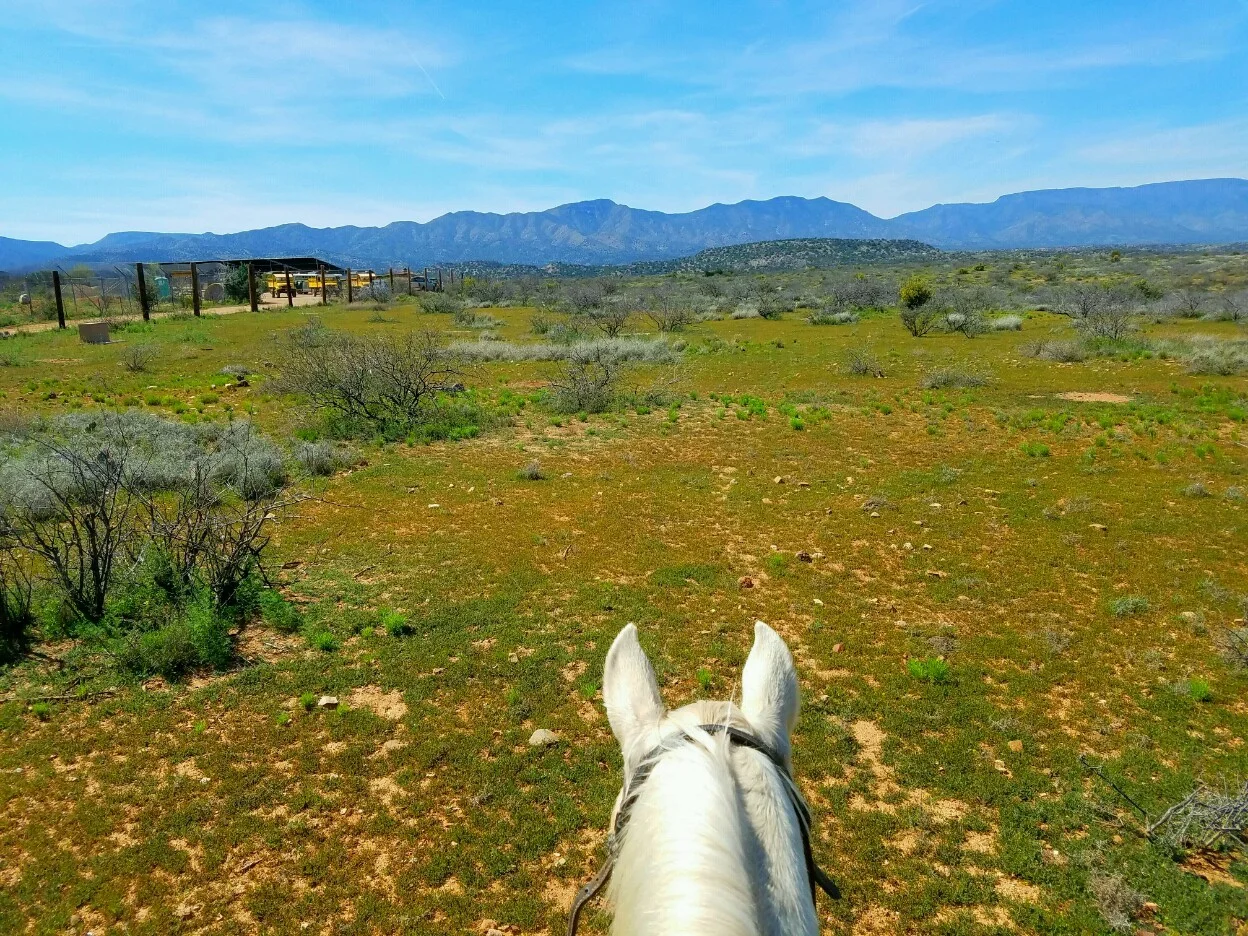 wild western horseback view.jpg