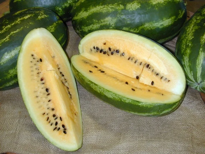 Source: Image Via Seed To Table .