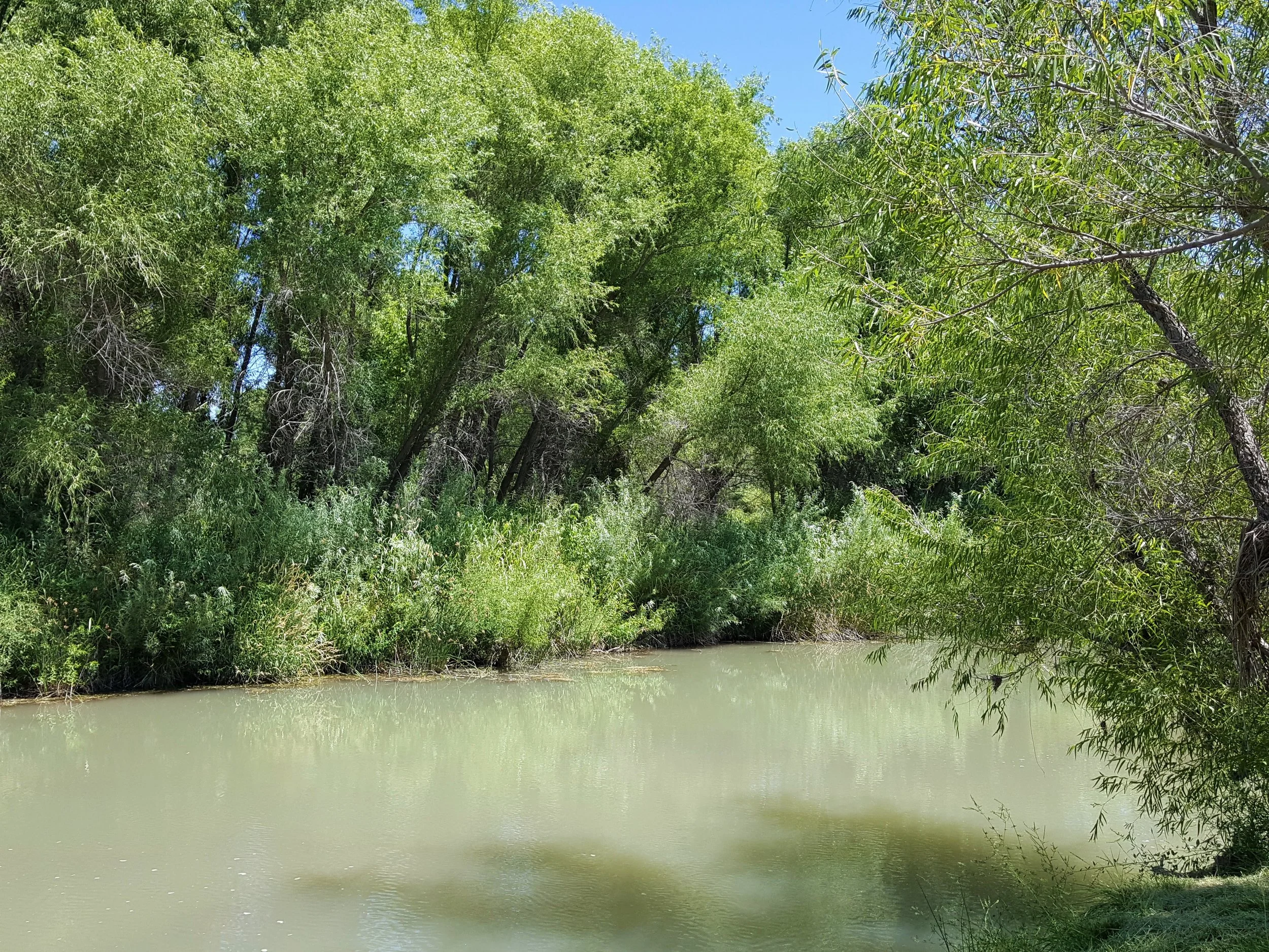 Verde River.jpg