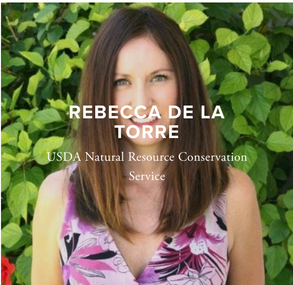 Screen Shot 2019-04-29 at 12.21.10 AM.png