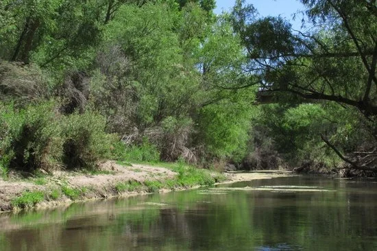 Photo courtesy of TripAdvisor .