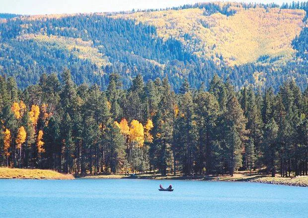 Photo: Northwoods Resort