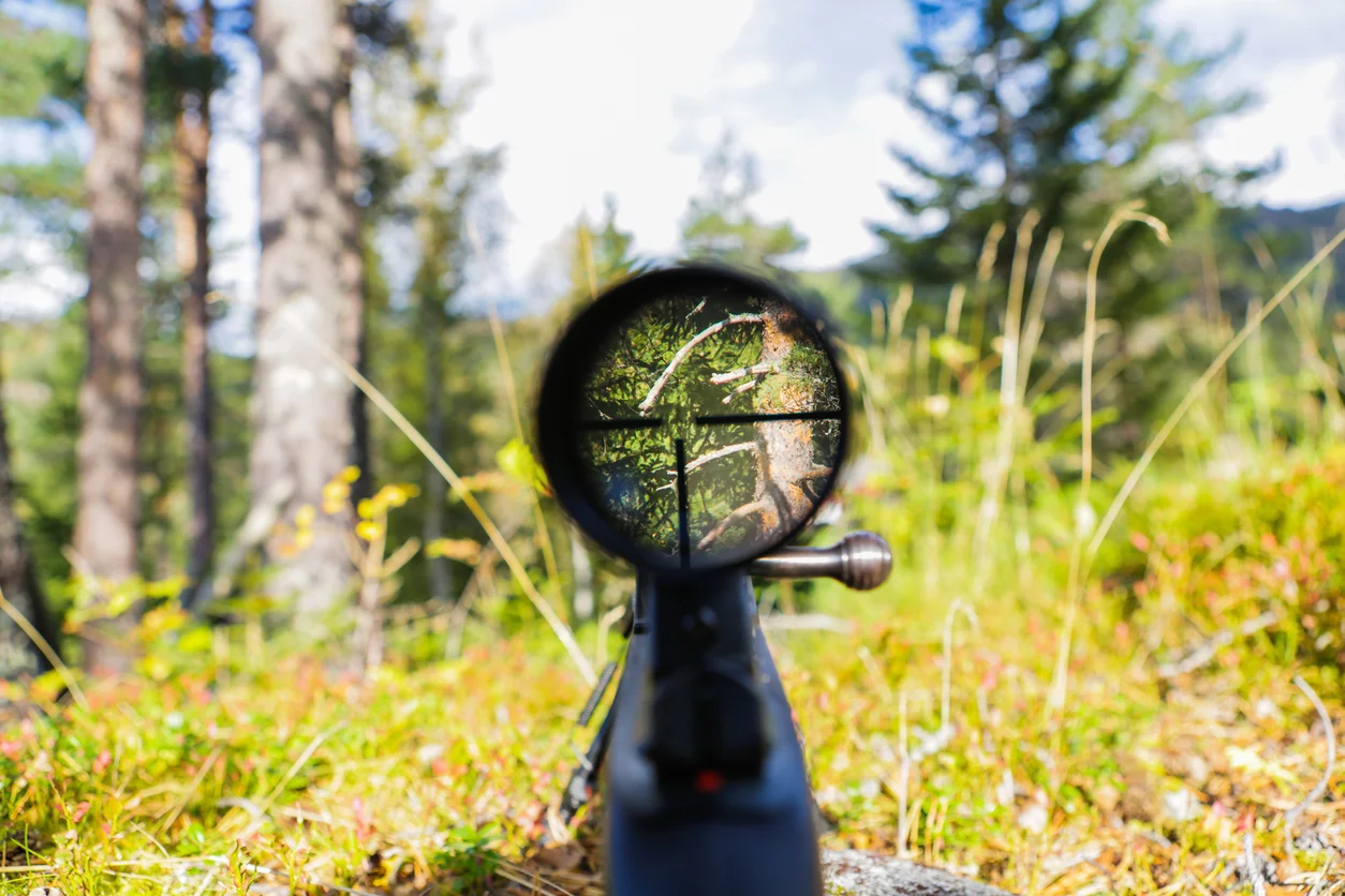 iStock-670580858.jpg