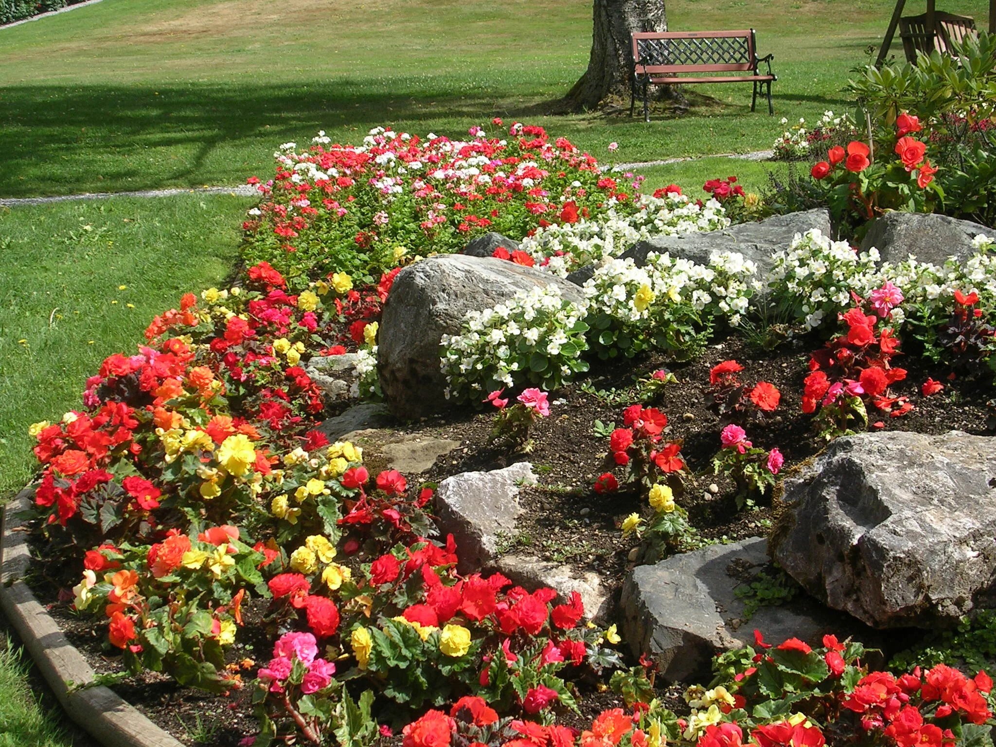 DSCN7181.JPG