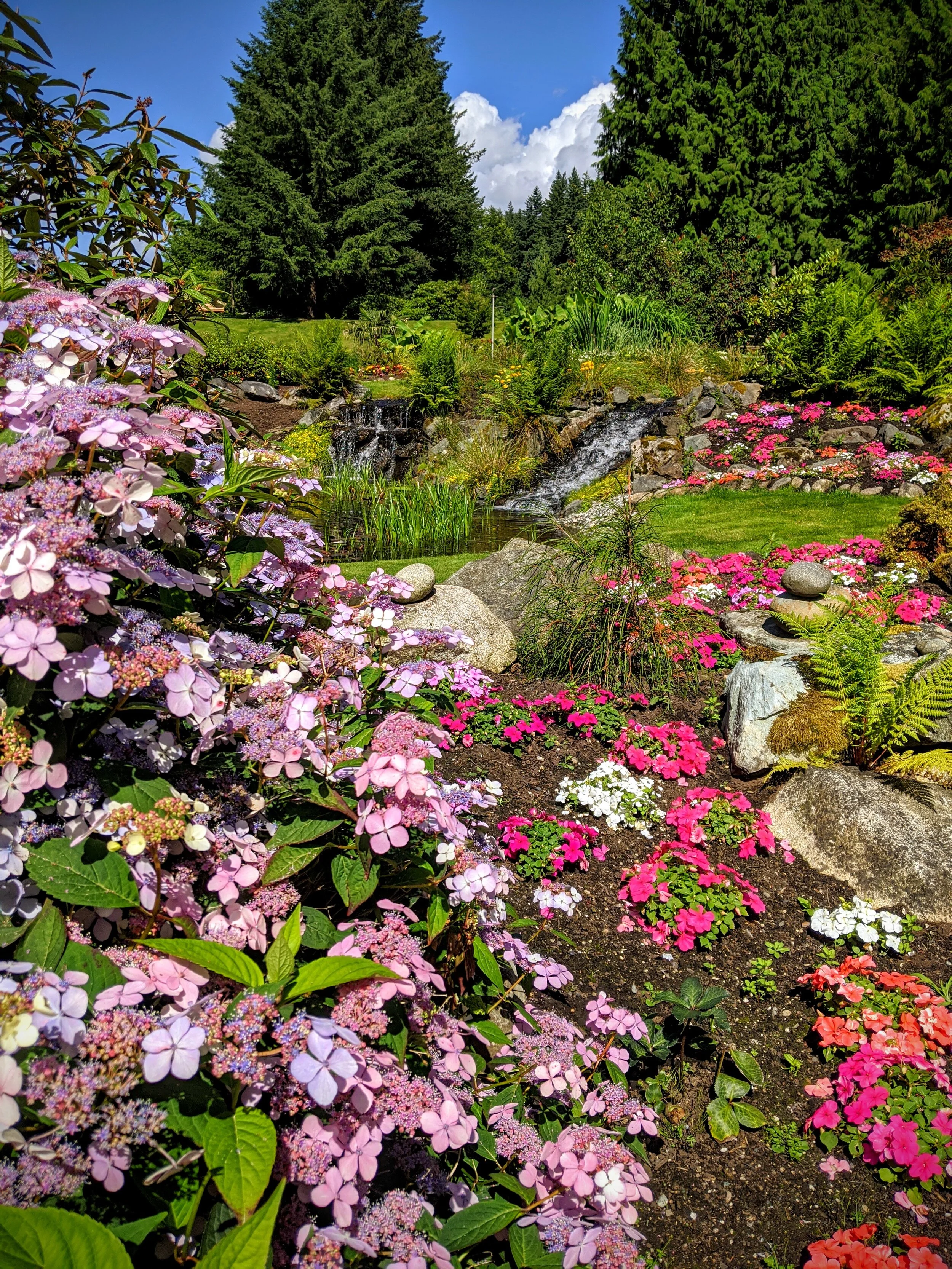 ABOUT — Cedar Springs