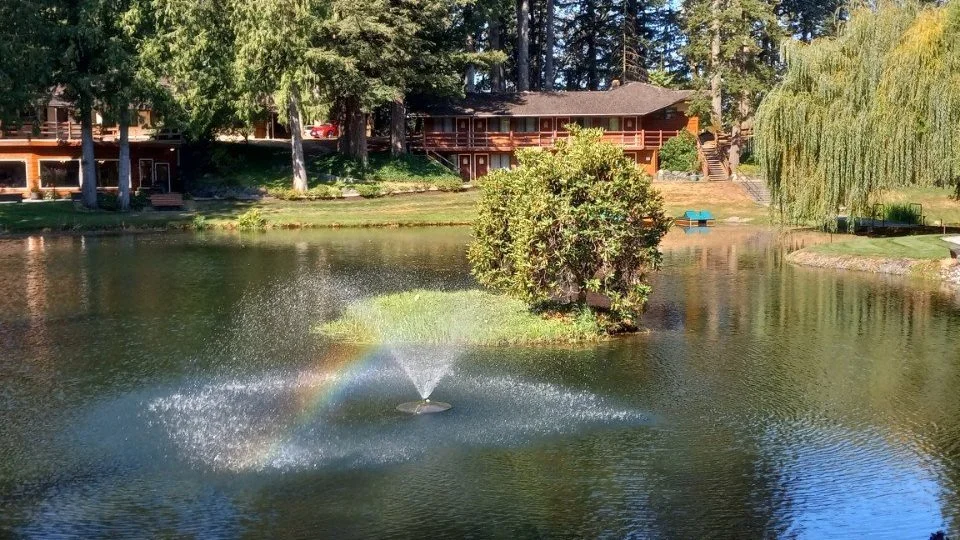 GALLERY — Cedar Springs