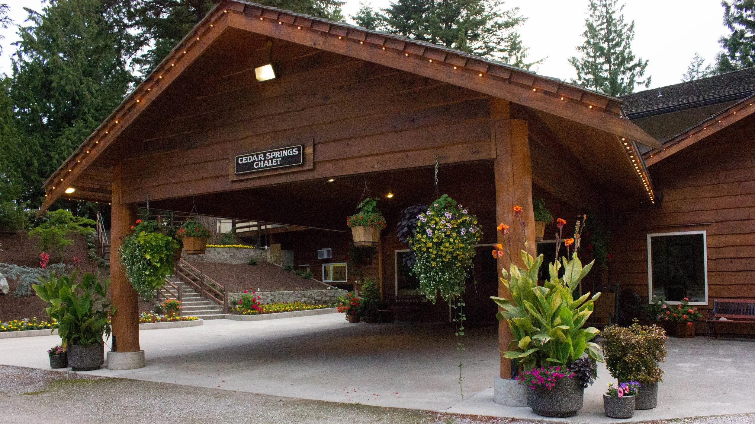 GALLERY — Cedar Springs