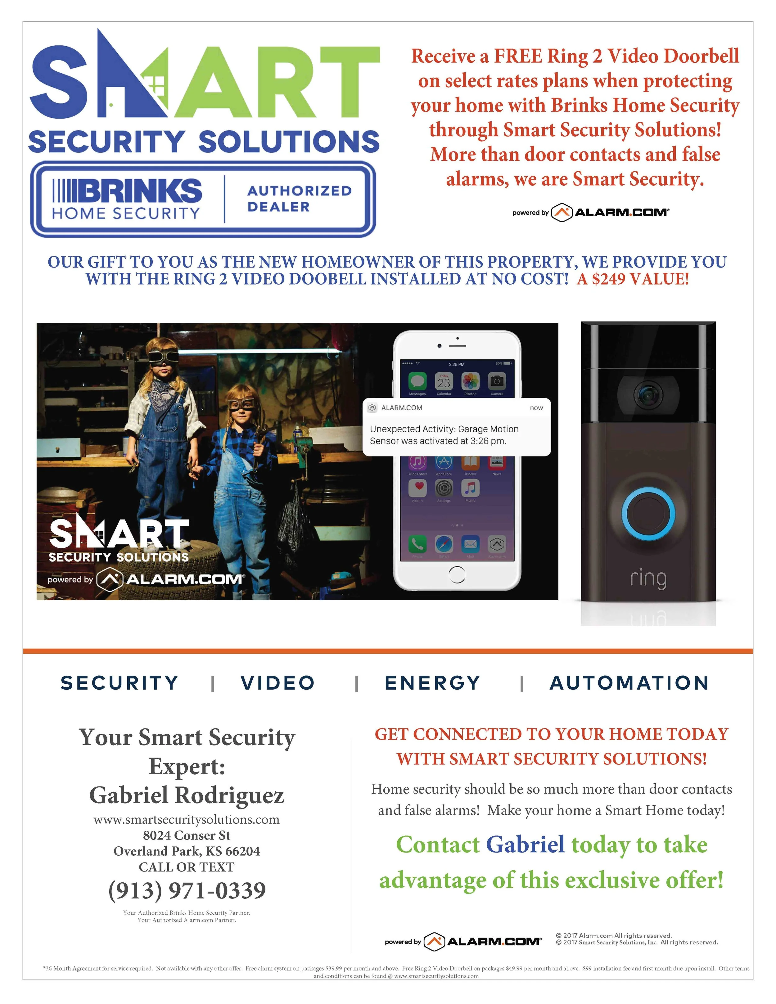 Brinks - Smart Security Flyer - GABE.jpg