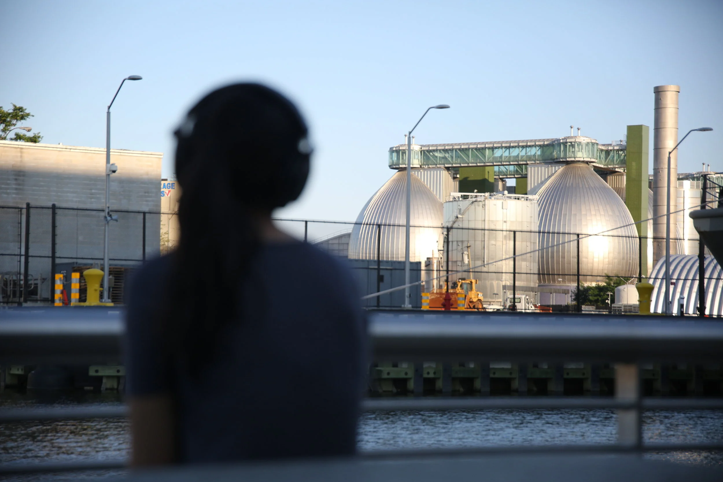 A Field Guide to Whale Creek