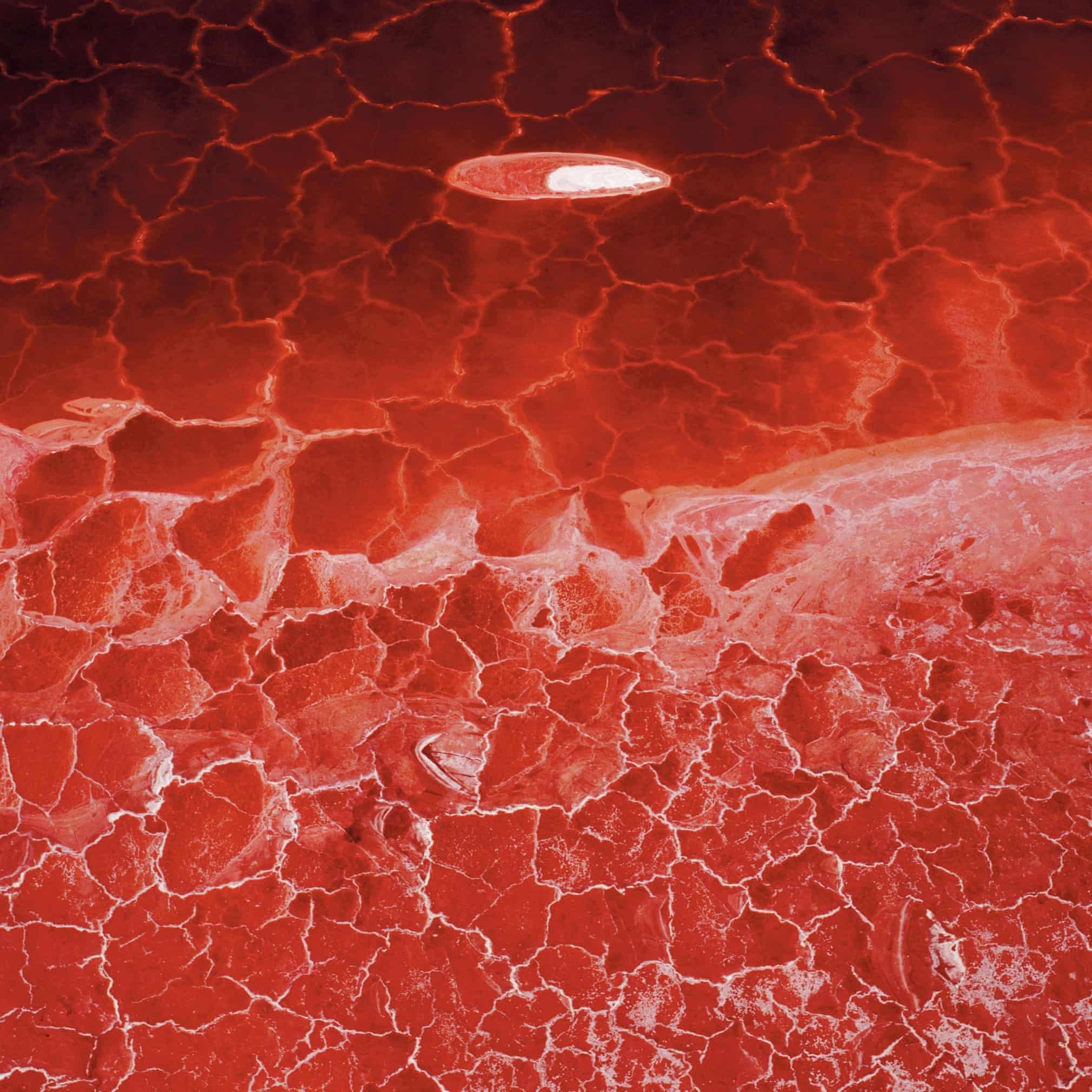 For The Lake Project, David Maisel photographed Owens Lake, once a 200-square-mile lake in California, which was depleted in the early 20th century to give water to Los Angeles. What little water remains has such a high concentration of minerals, and such bacterial growth, that it is now a deep blood red