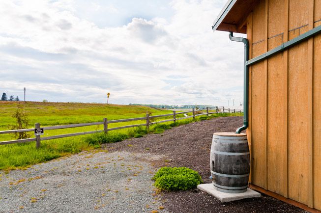 Rain Barrel.jpg