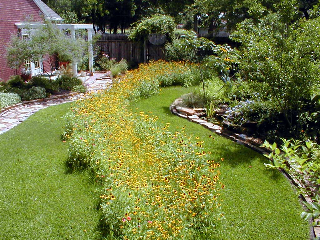 Rain Garden.jpg