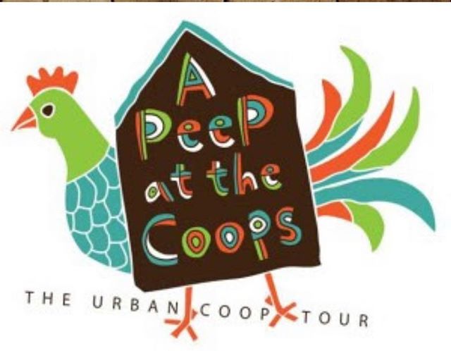 Come say &lsquo;Hola, chicas!&rsquo; to these chicks living their best lives, at a special way to celebrate Cinco de Mayo! Join us for A Peep at the Coops, a one-day tour of private urban chicken coops in North and East Dallas. This year, it&rsquo;s 