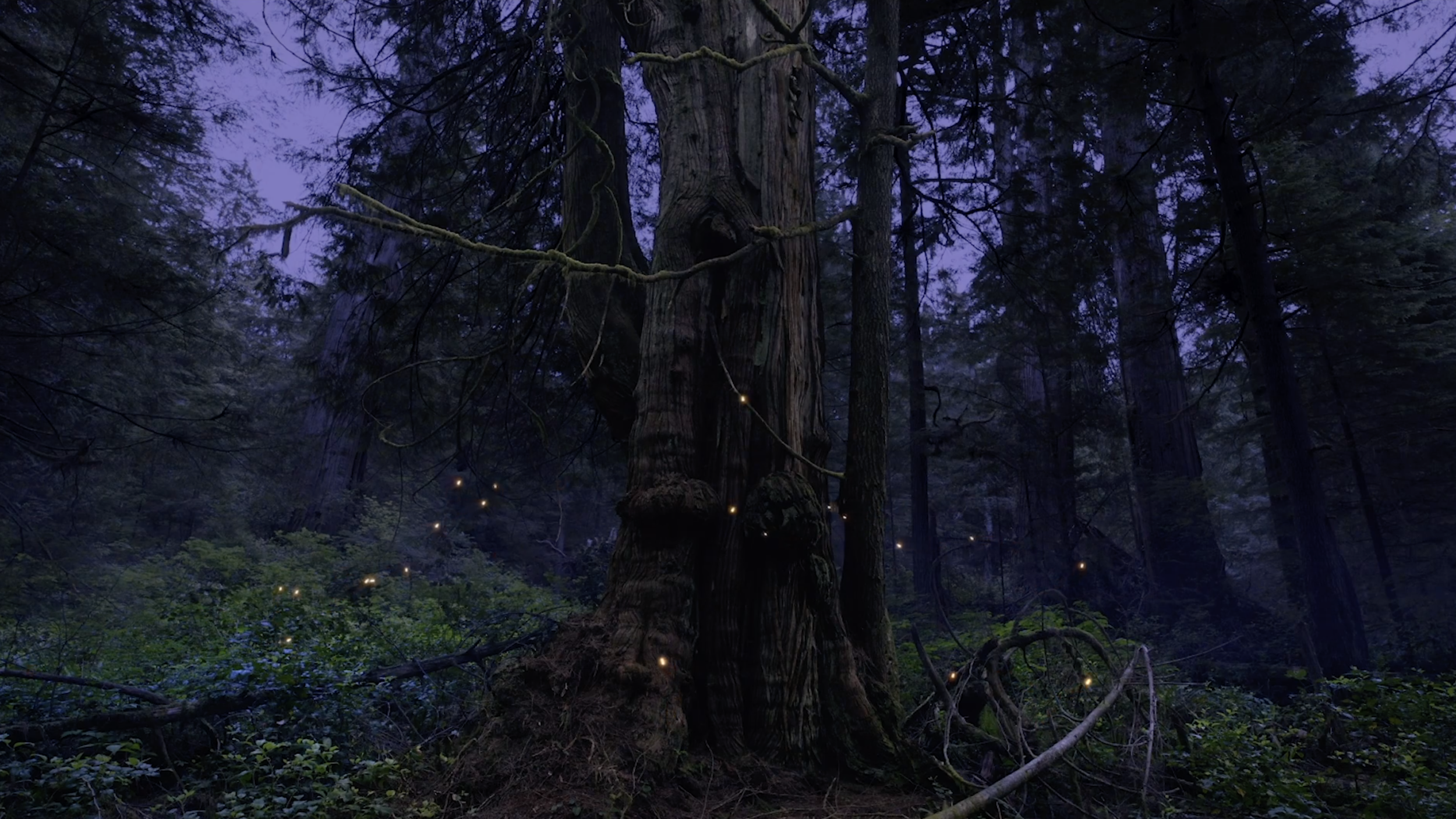 Still from  Embers and the Giants  