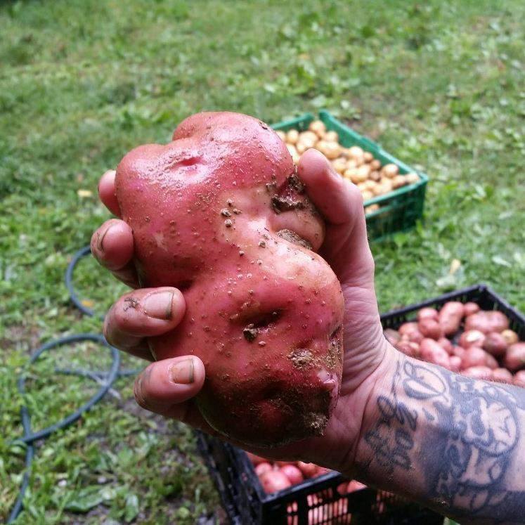 photo6.jpg