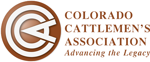 cca-advancing-the-legacy-logo.png