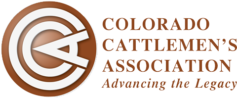 cca-advancing-the-legacy-logo.png