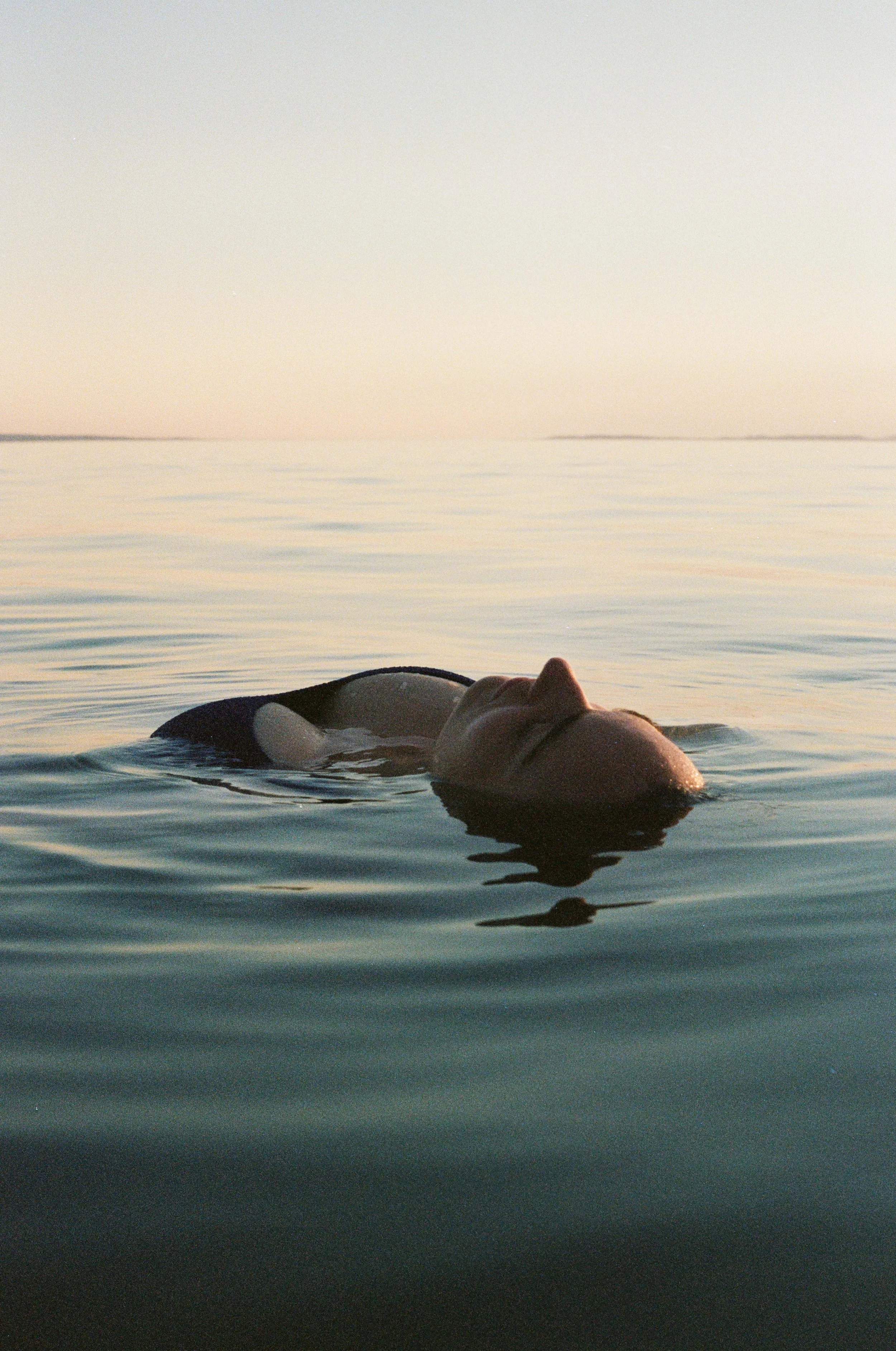 9BD0BF4B-E1  03-4C1C-AB0D-9EB1509E681F.jpg