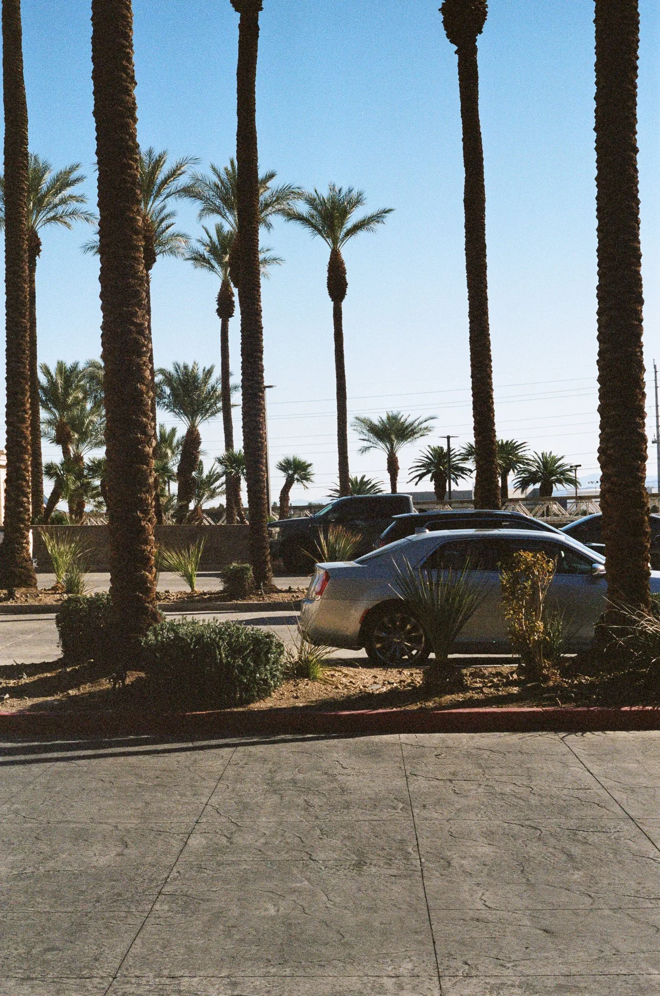 Las Vegas_S_2022-09.jpg