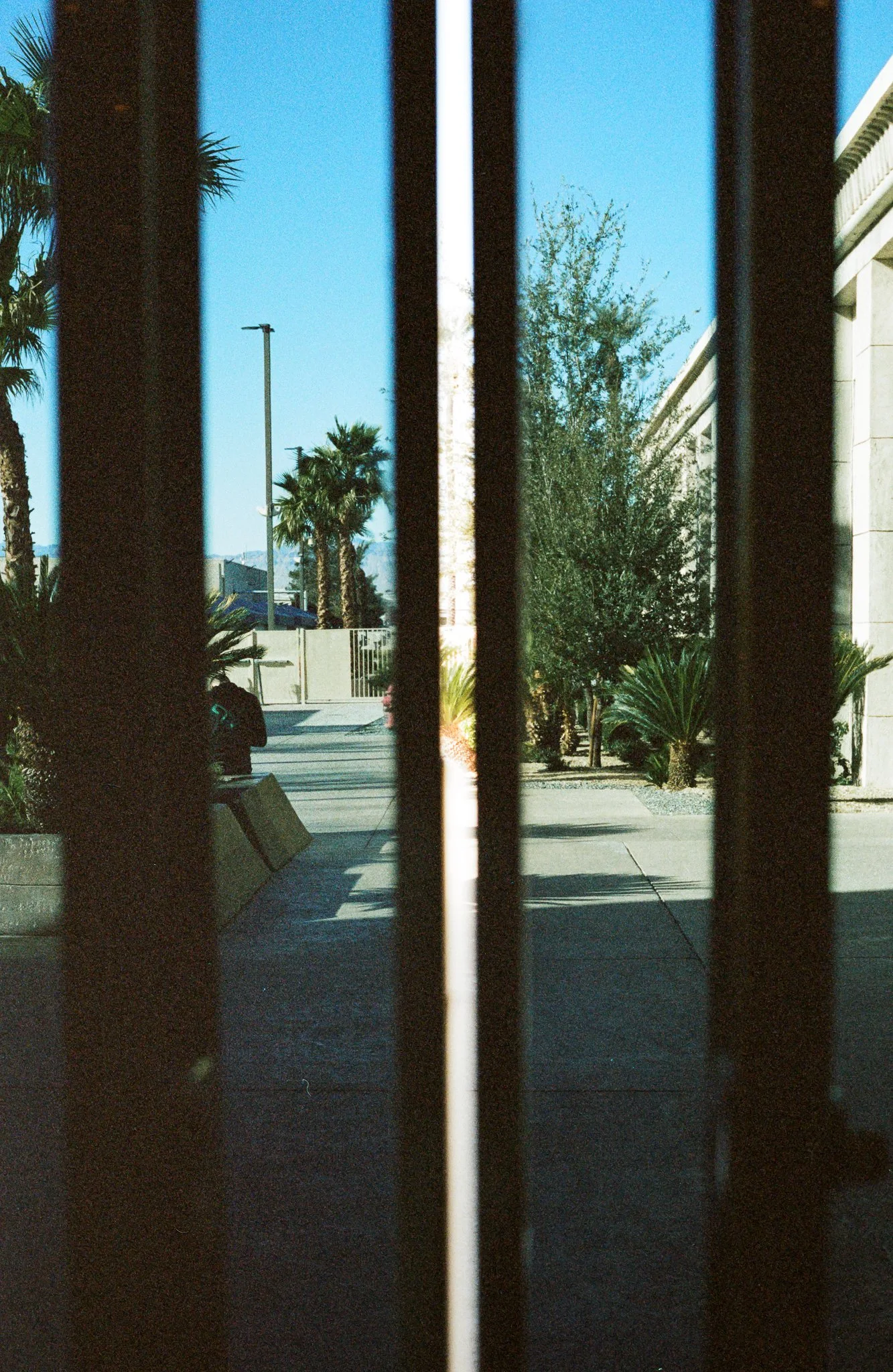 Las Vegas_S_2022-11.jpg