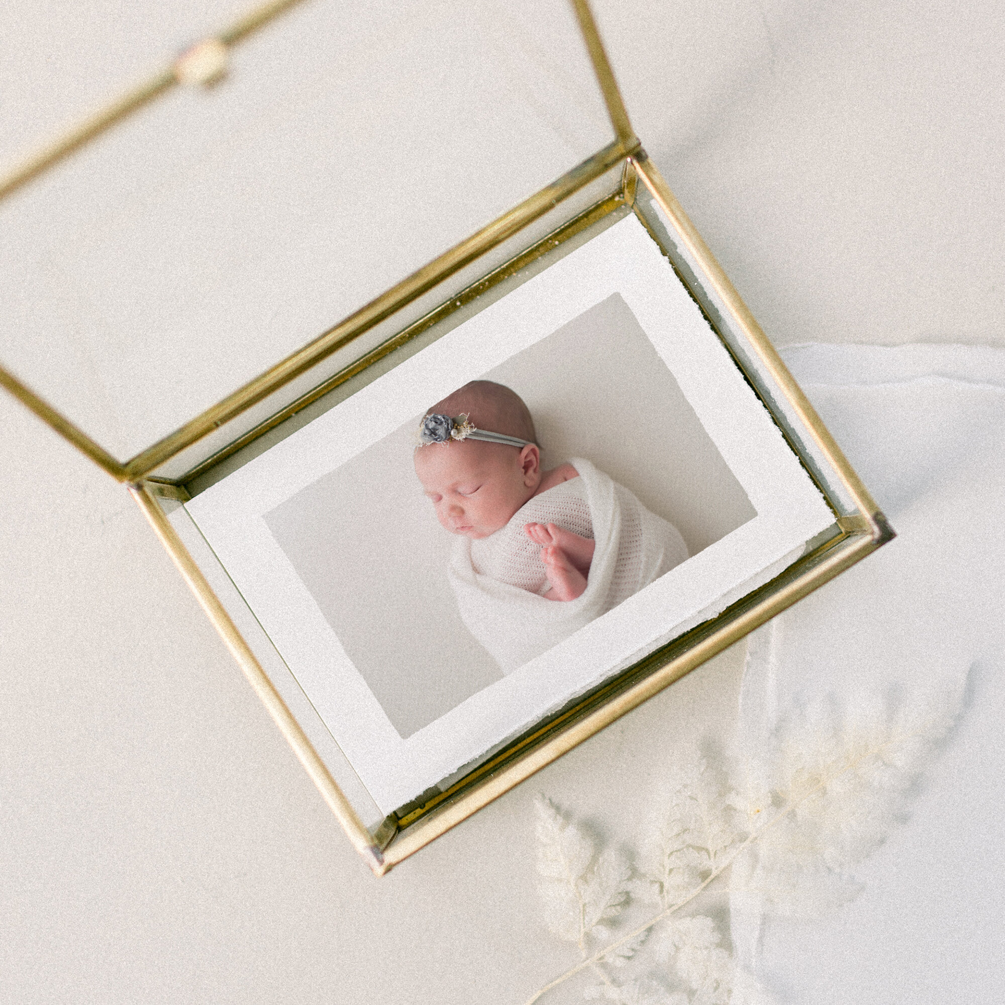 brass box pictures newborn photographer Philadelphia