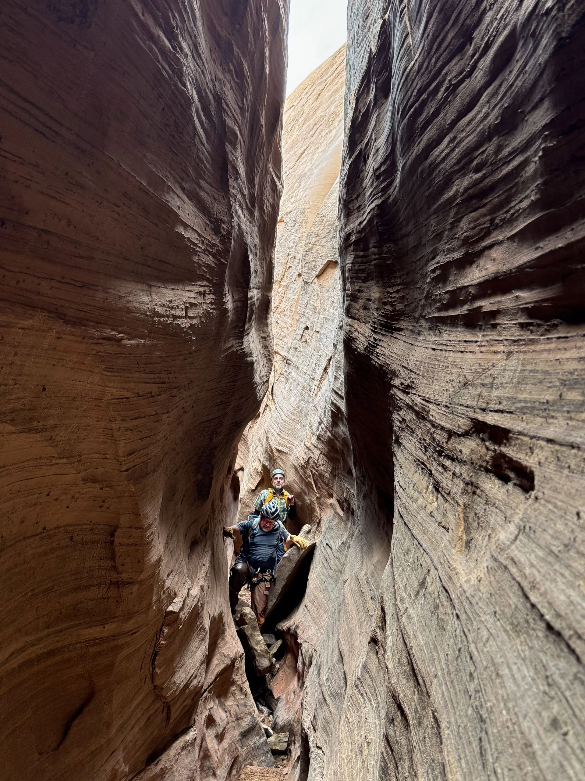 Thanks to George Goodman for the photo!