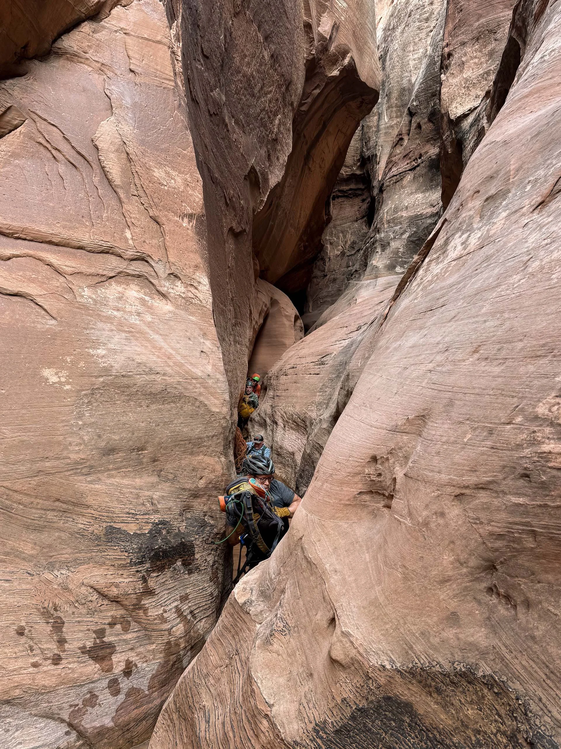 Thanks to George Goodman for the photo!