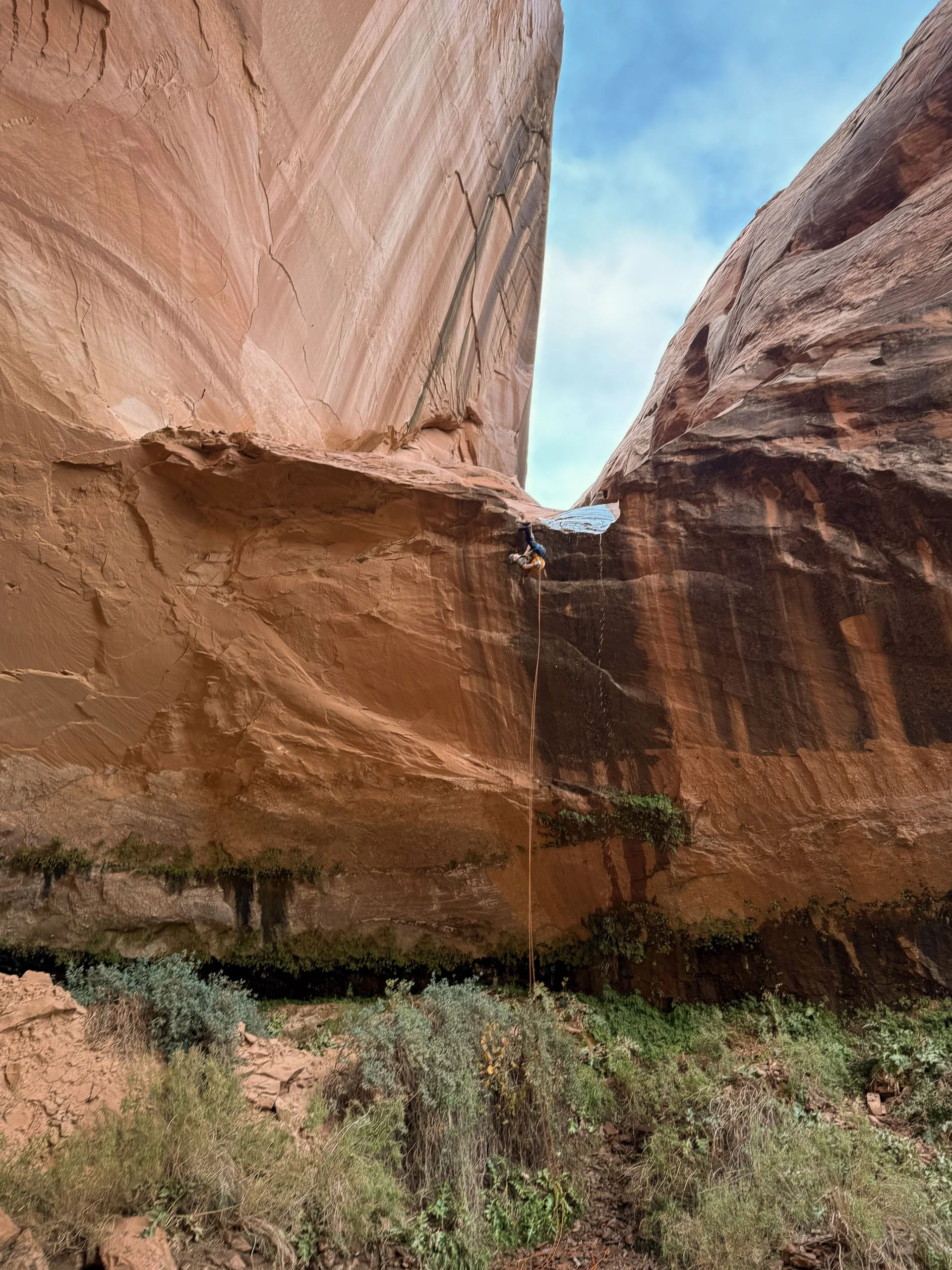 Thanks to George Goodman for the photo!