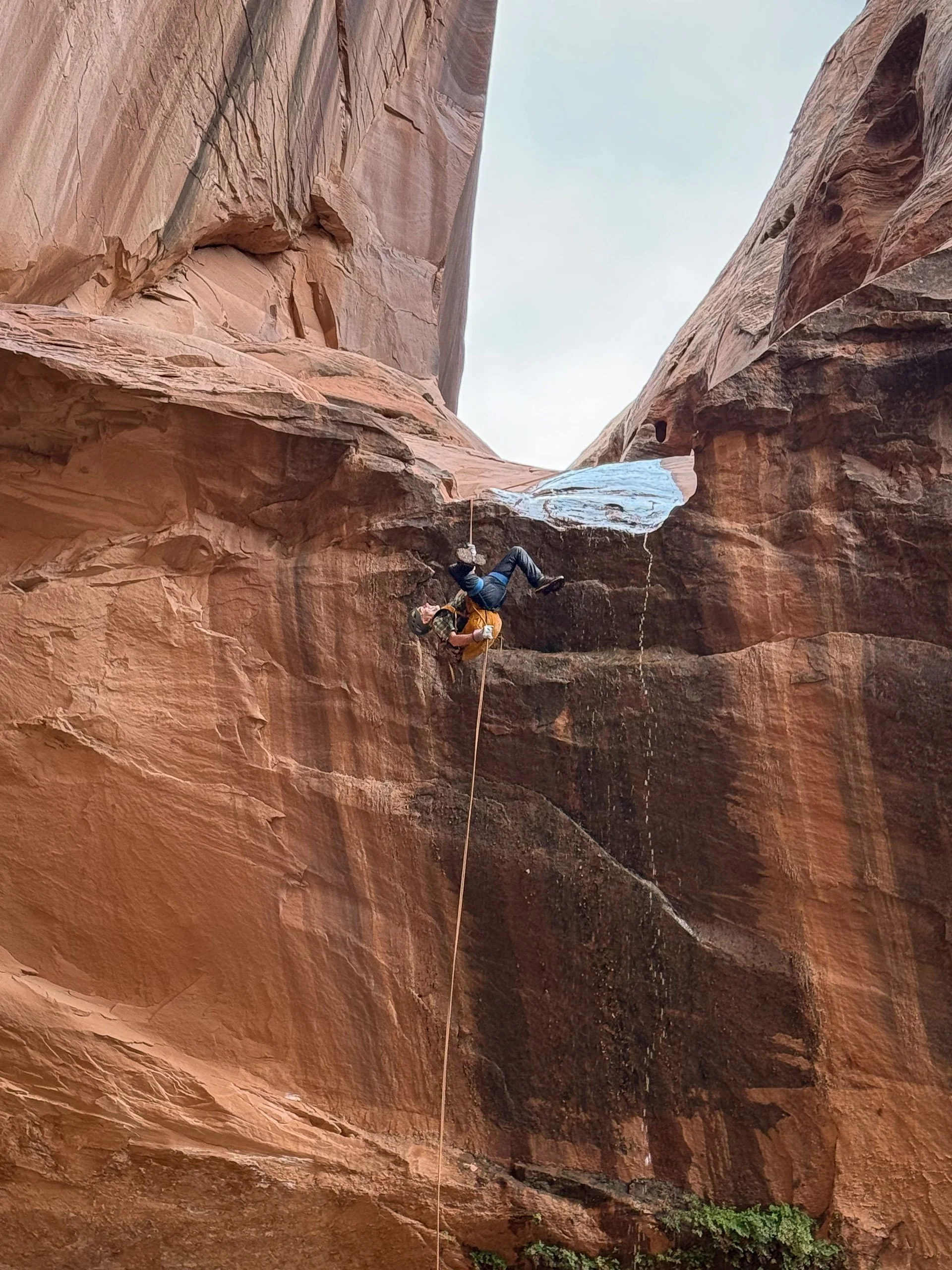 Thanks to George Goodman for the photo!