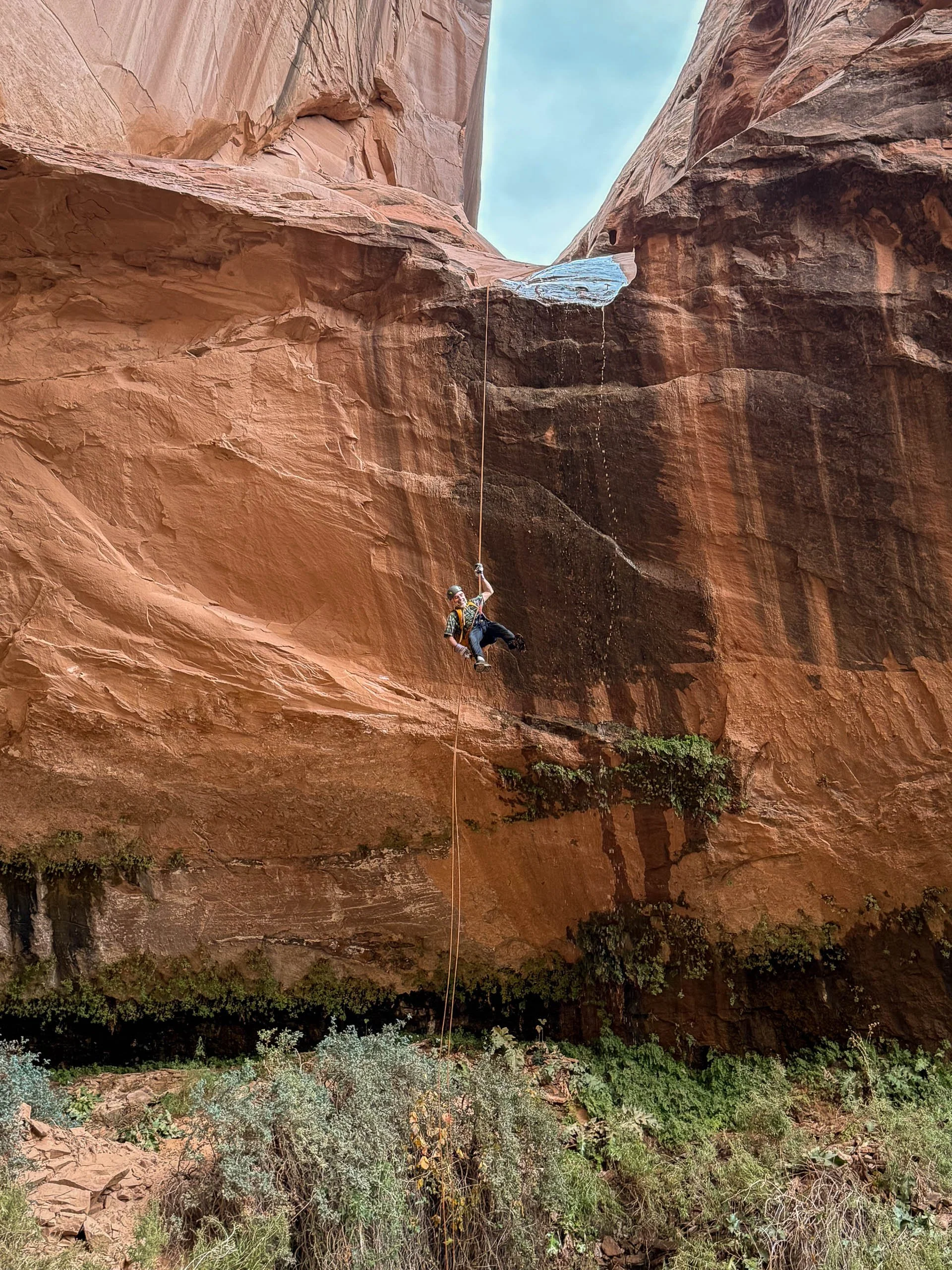 Thanks to George Goodman for the photo!