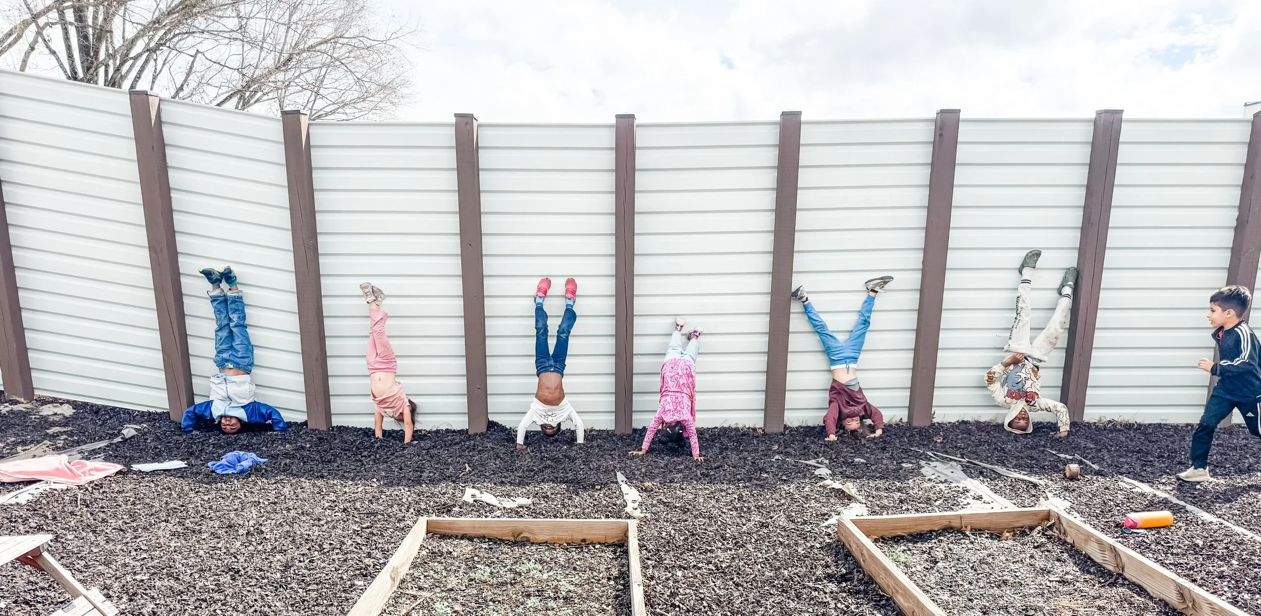 Session 6: Year 8, WeeK 24 In Review 