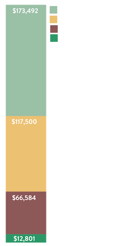 Annual Report 2018 Income Sources Graph - transparent1.png