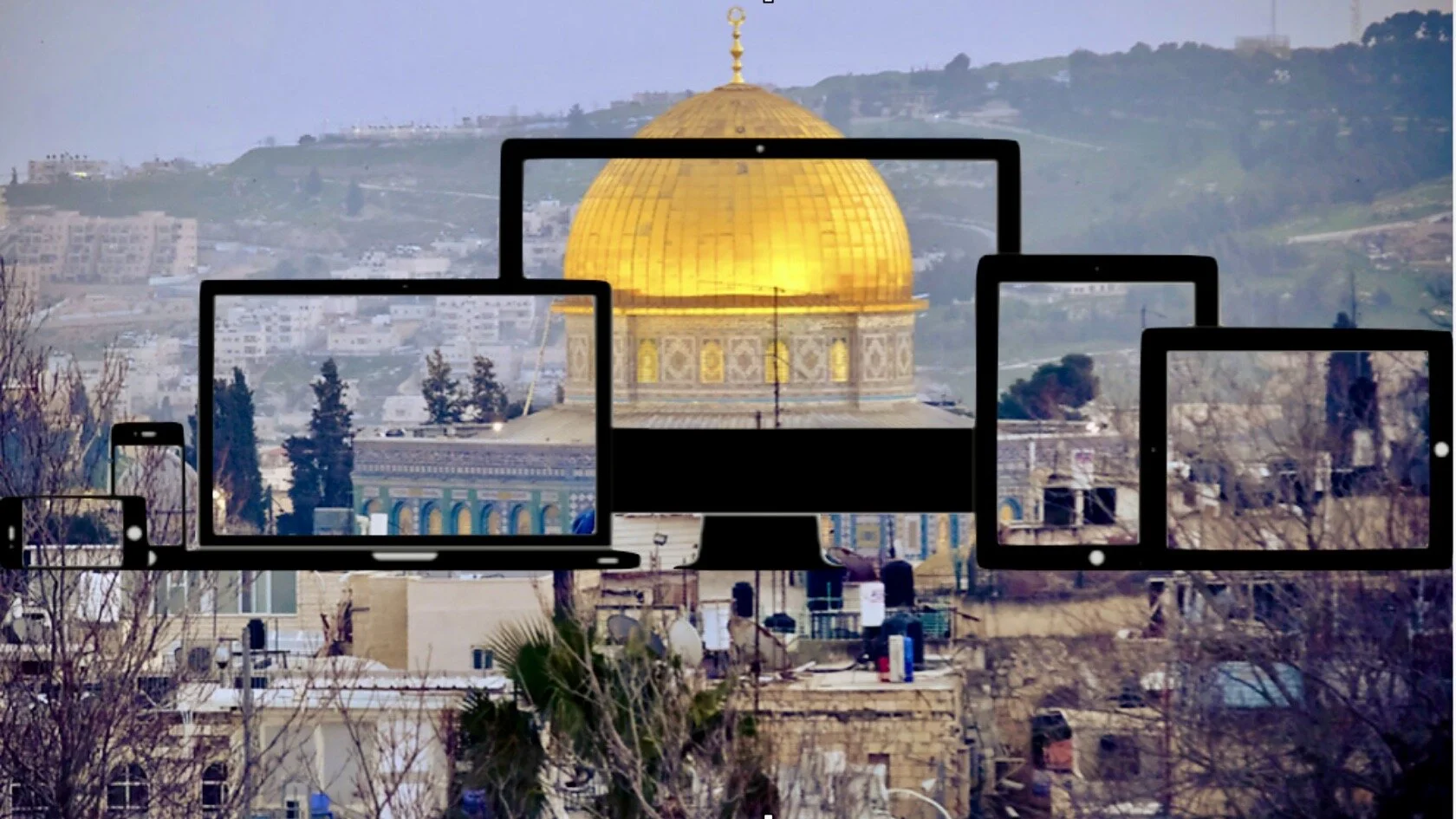 Virtual Delegations(9).jpeg