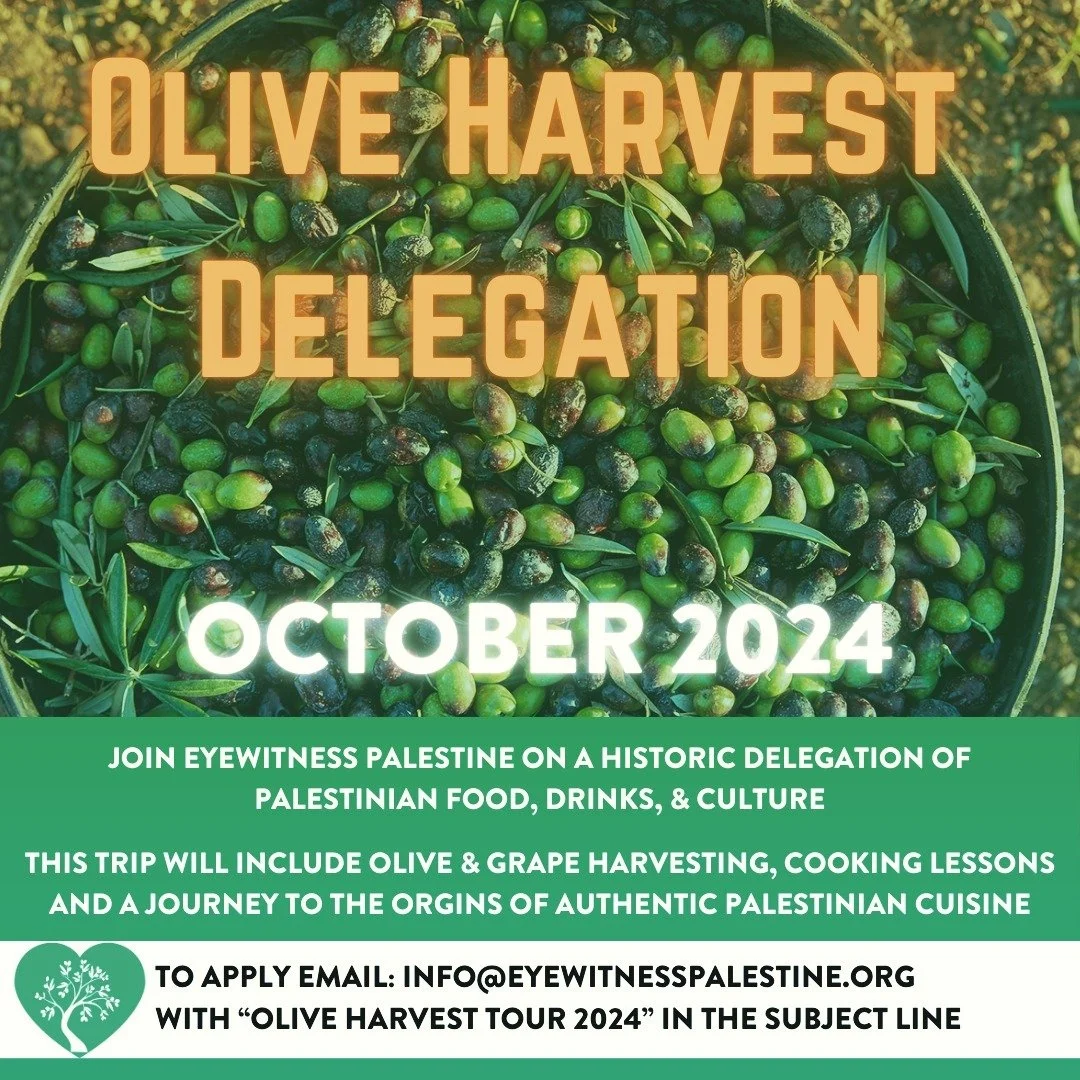 ANNOUNCEMENT 📣 
We are really excited to announce our October 2024 Olive Harvest delegation to Palestine! 
More than just harvesting, this exclusive curated trip will travel deep into the history of Palestinian food and drinks, including a farm to t