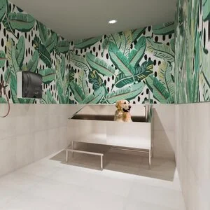 Live in Downtown Albany