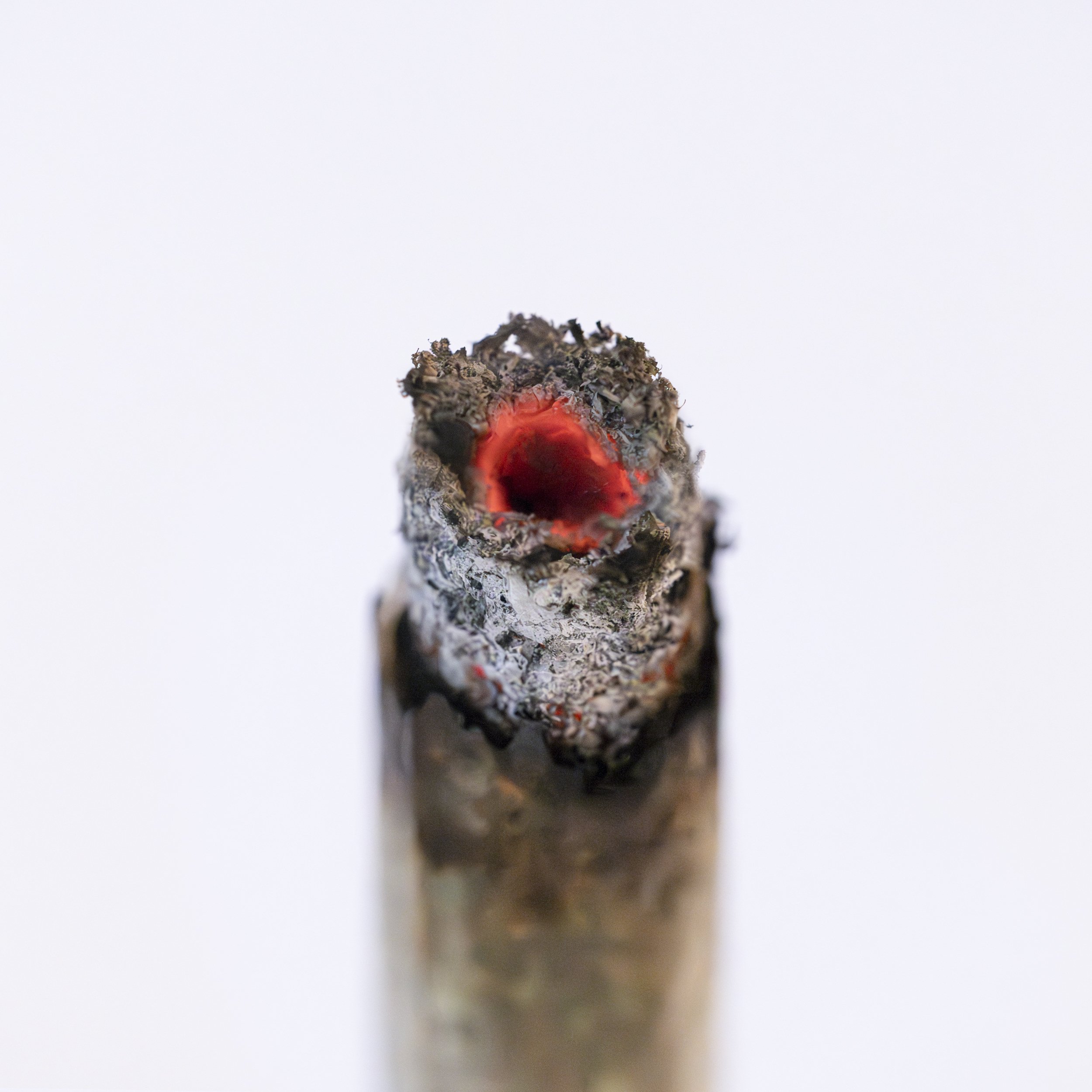 Cannagar_closeup.jpg