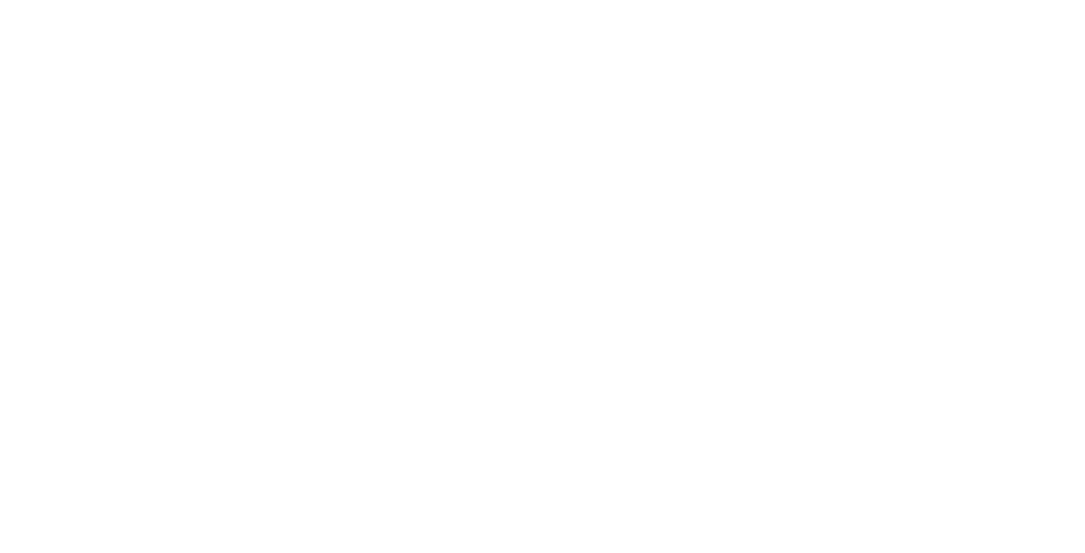 The Bridge Fellowship