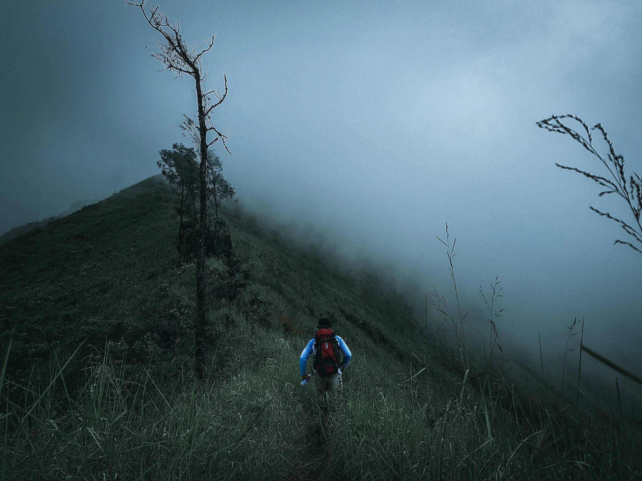 Better to Be a Seeker than a Wanderer