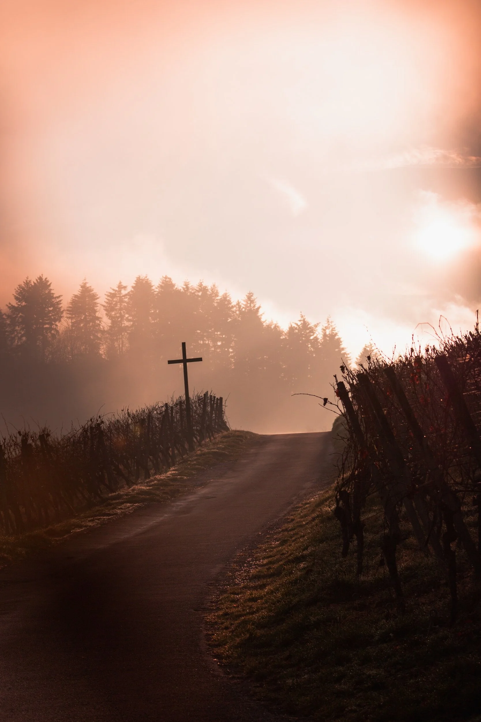 The Goodness of God in Affliction