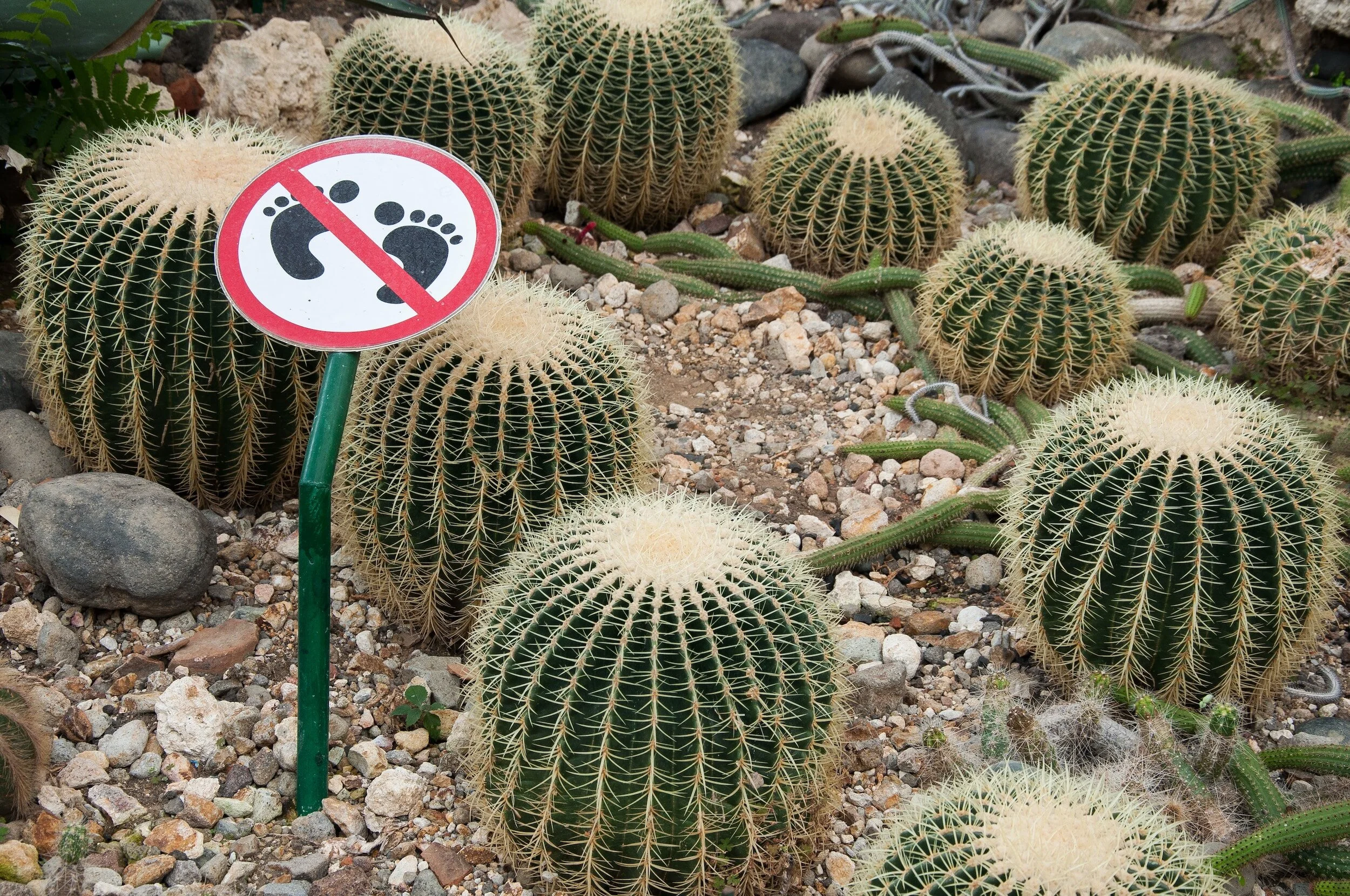 The Dangers of Sidestepping God’s Word