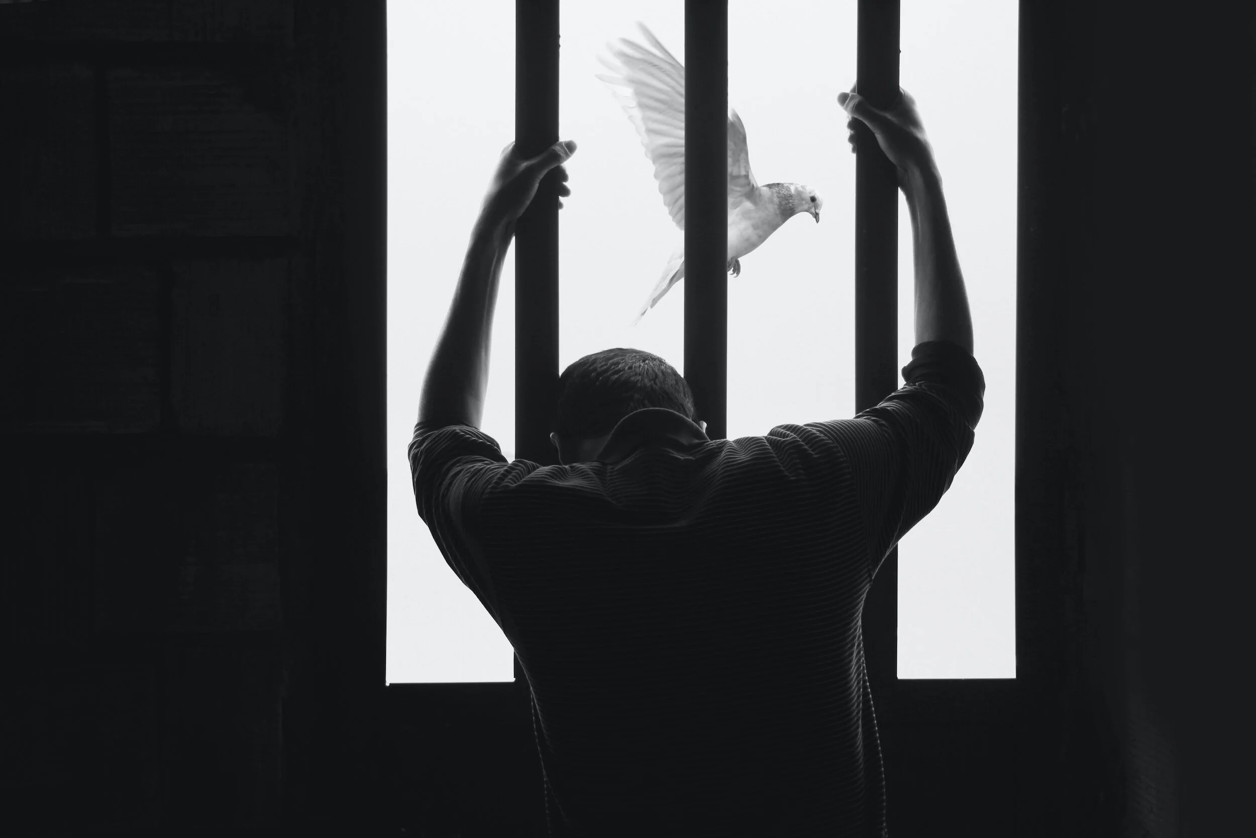 Day Six: How to Forgive When It Feels Impossible